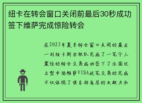 纽卡在转会窗口关闭前最后30秒成功签下维萨完成惊险转会